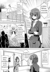 Aru Ningyo no Omoide