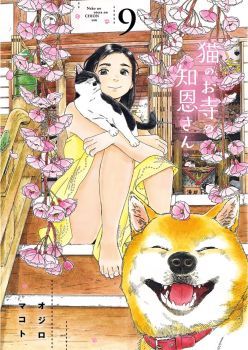 Neko no Otera no Chion-san แมวศาลเจ้าของชิออน