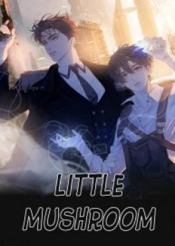 The Little Mushroom