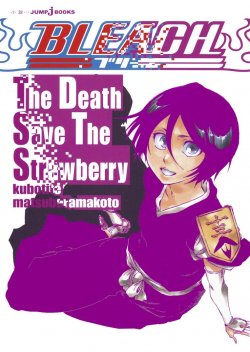Bleach (The Death Save The Strawberry)