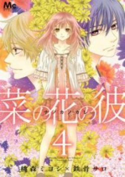Nanohana no Kare