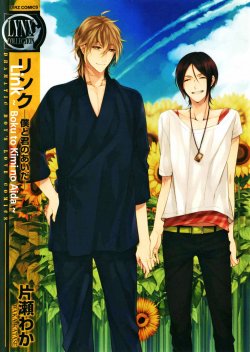 Link - Boku to Kimi no Aida
