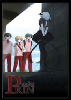 under PRIN
