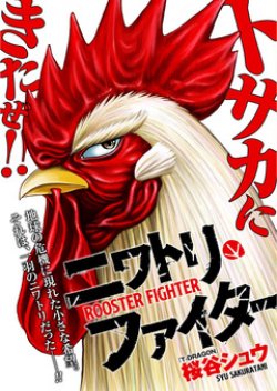 Rooster Fighter ป๋าโต้งชนยับ
